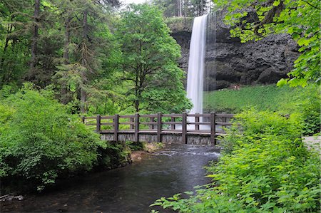 foot bridge and nobody - Silver Creek, South Falls, Silver Falls State Park, Marion County, Oregon, USA Stock Photo - Premium Royalty-Free, Code: 600-03445383