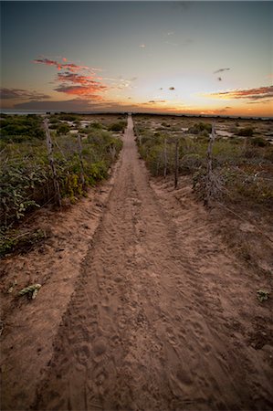 dirt road not people - Road, Todos los Santos, Baja, Mexico Stock Photo - Premium Royalty-Free, Code: 600-03446096