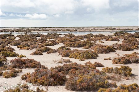 desert cloudy - Desert Landscape, Baja, Mexico Stock Photo - Premium Royalty-Free, Code: 600-03446102