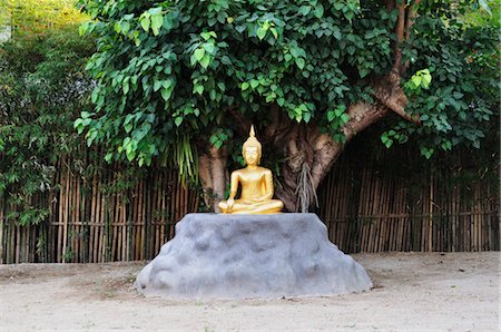 sitting buddha statue - Buddha Statue, Wat Phan Tao, Chiang Mai, Thailand Stock Photo - Premium Royalty-Free, Code: 600-03451302