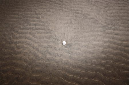 simsearch:600-03290215,k - Stone on Beach, Jamaica Beach, Galveston Island, Texas, USA Stock Photo - Premium Royalty-Free, Code: 600-03466446