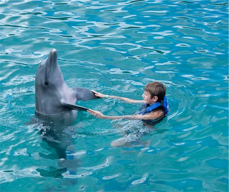 puberty - Swimming with Dolphin, Mexico Foto de stock - Sin royalties Premium, Código: 600-03466745