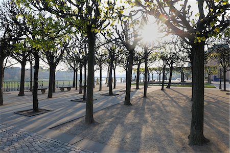 early spring - Bruhl's Terrace in the Morning, Dresden, Saxony, Germany Stock Photo - Premium Royalty-Free, Code: 600-03478666