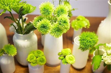 Fleurs coupées dans des Vases Photographie de stock - Premium Libres de Droits, Code: 600-03490371