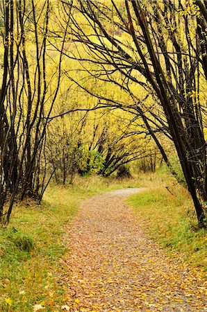 Footpath in Autumn, Arrowtown, Otago, South Island, New Zealand Stock Photo - Premium Royalty-Free, Code: 600-03508333