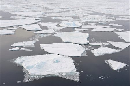 Ice Floe, Weddell Sea, Antarctic Peninsula Foto de stock - Sin royalties Premium, Código: 600-03503074