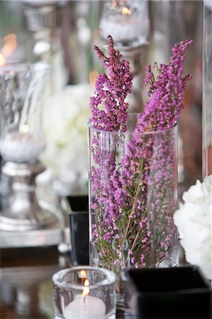 purple flower closeup - Heather in Vase Stock Photo - Premium Royalty-Free, Code: 600-03519144