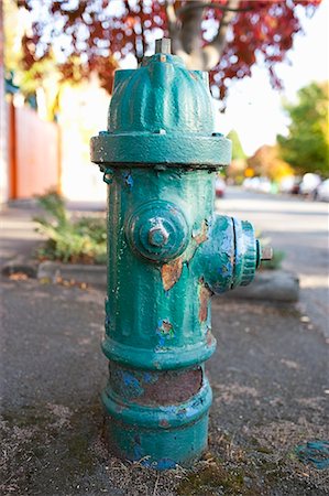 feuerhydrant - Grünes Feuer Hydrant, Seattle, Washington, USA Stockbilder - Premium RF Lizenzfrei, Bildnummer: 600-03520577