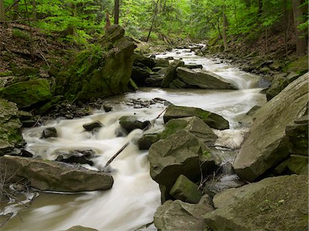 stream - Beamer Falls Conservation Area, Grimsby, Ontario, Canada Photographie de stock - Premium Libres de Droits, Code: 600-03520690