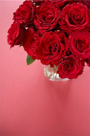 simsearch:600-03556790,k - Vase de Roses rouges Photographie de stock - Premium Libres de Droits, Code: 600-03556791