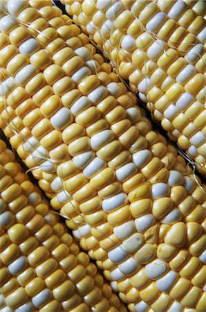 simsearch:632-05604310,k - Close-up of Corn on the Cob Fotografie stock - Premium Royalty-Free, Codice: 600-03567731