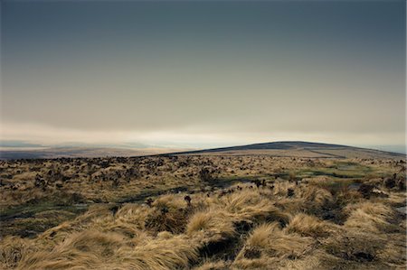 devon county - View of Dartmoor From Rippon Tor, Widecombe in the Moor, Devon, England Stock Photo - Premium Royalty-Free, Code: 600-03586766
