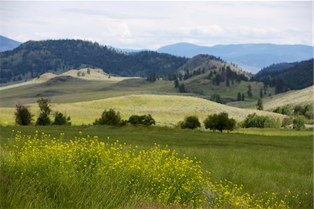 Landscape, British Columbia, Canada Stock Photo - Premium Royalty-Free, Code: 600-03586909