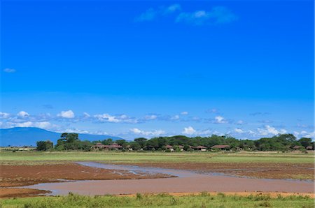 simsearch:700-03601352,k - Tsavo National Park, Kenya Foto de stock - Sin royalties Premium, Código: 600-03615452