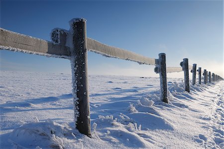 fence in snow - Fence in Snow, Wasserkuppe, Rhon Mountains, Hesse, Germany Stock Photo - Premium Royalty-Free, Code: 600-03615519