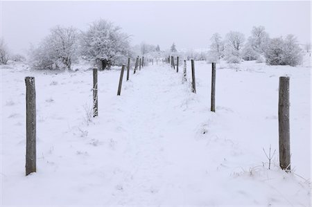 poste - Path in Snow Covered Landscape, Mathesberg, Rhon Mountains, Hesse, Germany Foto de stock - Sin royalties Premium, Código: 600-03615546