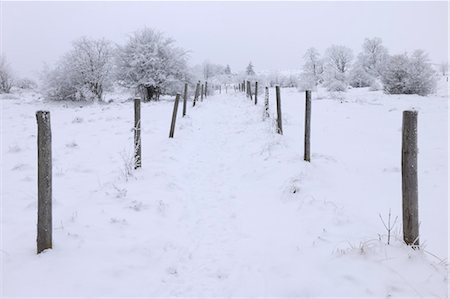 Path in Snow Covered Landscape, Mathesberg, Rhon Mountains, Hesse, Germany Stock Photo - Premium Royalty-Free, Code: 600-03615546