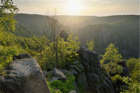 summer vista - Bode Gorge, Thale, Harz District, Saxony Anhalt, Germany Stock Photo - Premium Royalty-Free, Code: 600-03615951