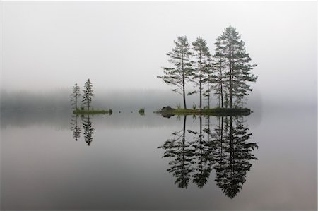 reflet - Reflet de l'arbre dans le lac, Telemark, Norvège orientale, Norvège Photographie de stock - Premium Libres de Droits, Code: 600-03621209