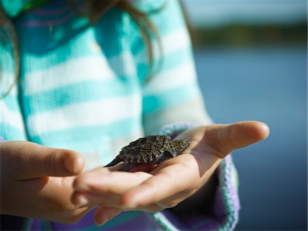 palmo - Girl Holding Baby Snapping Turtle, Cache Lake, Algonquin Park, Ontario, Canada Fotografie stock - Premium Royalty-Free, Codice: 600-03621304