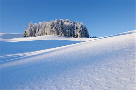 simsearch:600-03644646,k - Forest in Winter Landscape, Canton of Berne, Switzerland Foto de stock - Sin royalties Premium, Código: 600-03644645