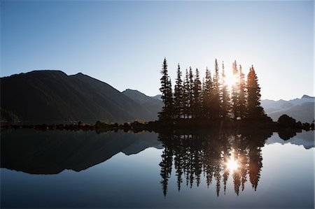 evergreen tree - Garibaldi Lake at Sunset, Garibaldi Provincial Park, British Columbia, Canada Stock Photo - Premium Royalty-Free, Code: 600-03641248