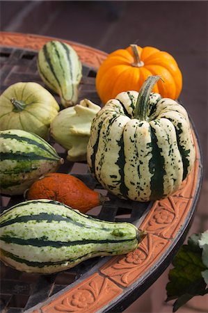 Ornamental Pumpkins and Gourds Stock Photo - Premium Royalty-Free, Code: 600-03659198