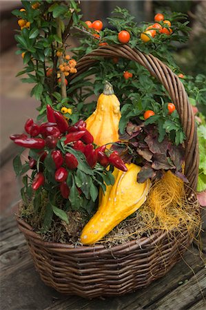 Décoration automnale avec citrouilles décoratives Photographie de stock - Premium Libres de Droits, Code: 600-03659191