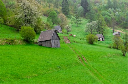 Soca Valley, Slovenia Stock Photo - Premium Royalty-Free, Code: 600-03659226