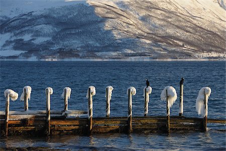 Dock in Winter, Buvik, Kvaloy, Troms, Norway Foto de stock - Sin royalties Premium, Código: 600-03665490