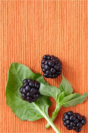 Blackberries and Basil Stock Photo - Premium Royalty-Free, Code: 600-03686066