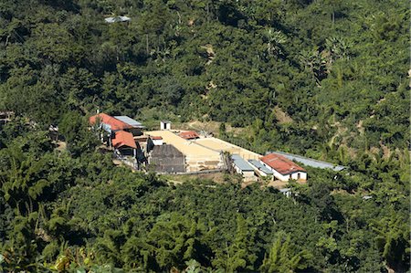 Finca Vista Hermosa Coffee Plantation, Agua Dulce, département de Huehuetenango, Guatemala Photographie de stock - Premium Libres de Droits, Code: 600-03686161