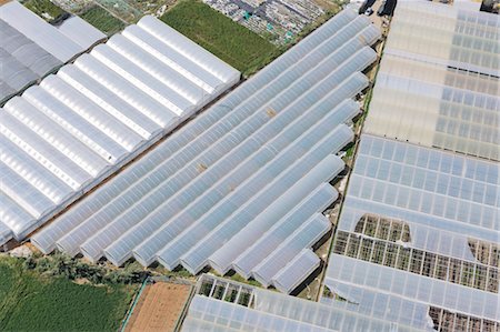 simsearch:600-03682222,k - Aerial View of Greenhouse Rooftops, Cadiz province, Andalusia, Spain Fotografie stock - Premium Royalty-Free, Codice: 600-03682223