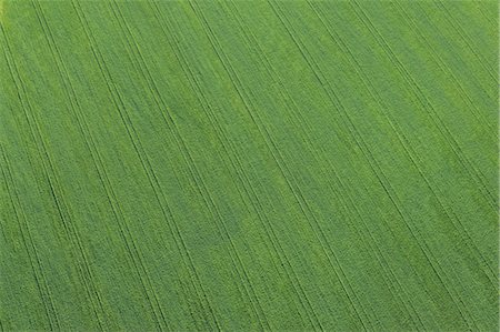 Vue aérienne des traces de roues dans le champ de blé, Province de Cadiz, Andalousie, Espagne Photographie de stock - Premium Libres de Droits, Code: 600-03682235