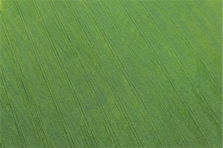 Aerial view of Wheel Tracks in Wheat Field, Cadiz Province, Andalusia, Spain Foto de stock - Sin royalties Premium, Código: 600-03682235