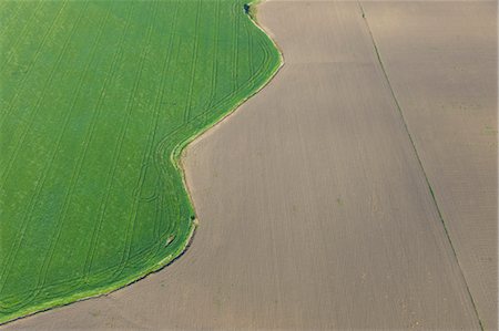 Vue aérienne du bord du blé champ, Province de Cadiz, Andalousie, Espagne Photographie de stock - Premium Libres de Droits, Code: 600-03682237