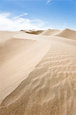 desert dune landscapes - Les Dunes de sable impériale Recreation zone, Californie, Etats-Unis Photographie de stock - Premium Libres de Droits, Code: 600-03696929