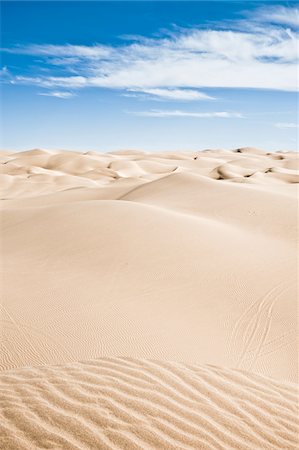 desert dune landscapes - Les Dunes de sable impériale Recreation zone, Californie, Etats-Unis Photographie de stock - Premium Libres de Droits, Code: 600-03696930