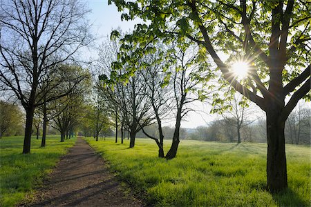 Park, Nilkheim, Aschaffenburg, Franconia, Bavaria, Germany Stock Photo - Premium Royalty-Free, Code: 600-03697835