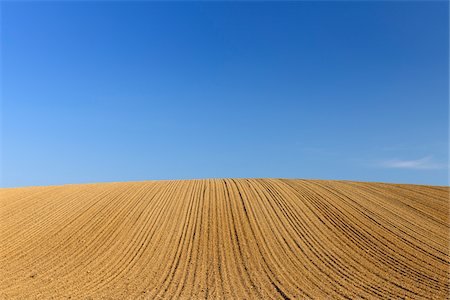 plant in soil - Sowed Field, Reinheim, Darmstadt-Dieburg, Hesse, Germany Stock Photo - Premium Royalty-Free, Code: 600-03697859