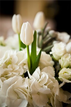 festive flower arrangement - Bouquet of White Flowers Stock Photo - Premium Royalty-Free, Code: 600-03737669