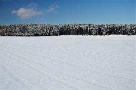 Black Forest, Schwarzwald-Baar, Baden-Wurttemberg, Germany Foto de stock - Sin royalties Premium, Código: 600-03737699