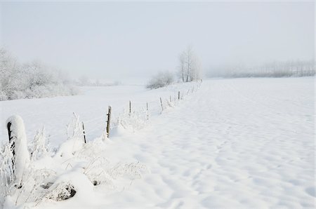 fence snow - Black Forest, Schwarzwald-Baar, Baden-Wurttemberg, Germany Stock Photo - Premium Royalty-Free, Code: 600-03737705