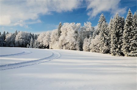 Schwarzwald-Baar, la forêt noire, Bade-Wurtemberg, Allemagne Photographie de stock - Premium Libres de Droits, Code: 600-03737700