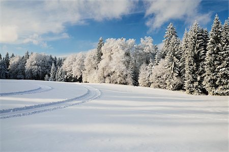 rodada - Schwarzwald-Baar, la forêt noire, Bade-Wurtemberg, Allemagne Photographie de stock - Premium Libres de Droits, Code: 600-03737700