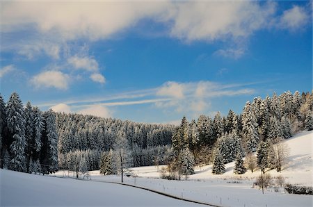 peaceful black forest scene - Schwarzwald-Baar, la forêt noire, Bade-Wurtemberg, Allemagne Photographie de stock - Premium Libres de Droits, Code: 600-03737702