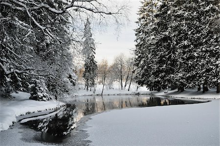 simsearch:600-05837471,k - Winter Landscape near Koenigsfeld, Black Forest, Baden-Wurttemberg, Germany Foto de stock - Sin royalties Premium, Código: 600-03737976