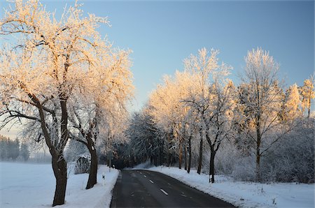 snowy european roads - Road Through Winter Landscape, near Villingen-Schwenningen, Black Forest, Schwarzwald-Baar, Baden-Wurttemberg, Germany Stock Photo - Premium Royalty-Free, Code: 600-03737995