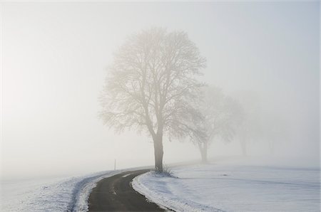 snow forest dusk - Road Through Winter Landscape, near Villingen-Schwenningen, Black Forest, Schwarzwald-Baar, Baden-Wurttemberg, Germany Stock Photo - Premium Royalty-Free, Code: 600-03738001