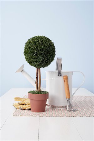 rastrellino - Potted Plant and Gardening Utensils Fotografie stock - Premium Royalty-Free, Codice: 600-03738801